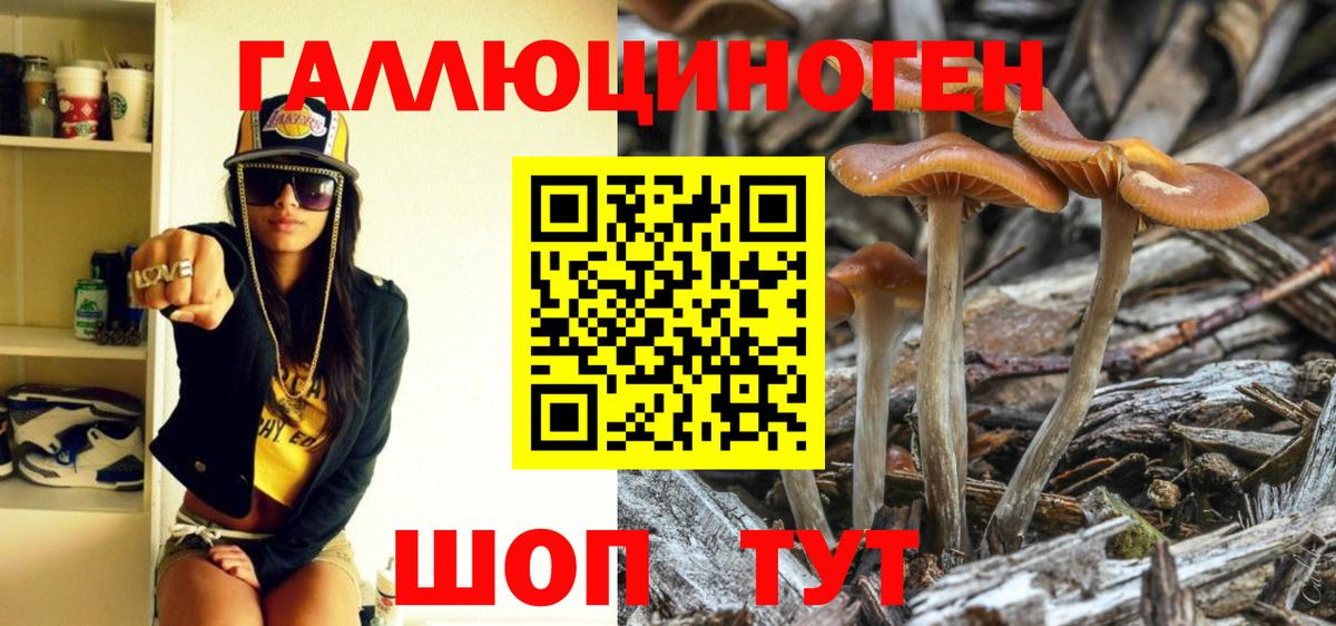 Псилоцибиновые грибы ЛСД  Вход с VPN  Спасск-Дальний 